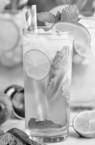 Mint Mojito