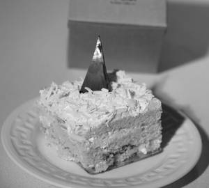 White Forest Pastry