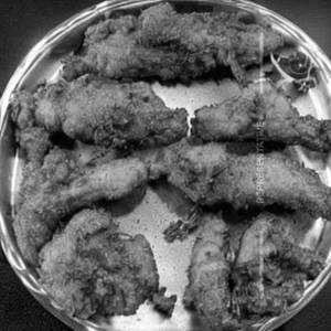 Fish Fry