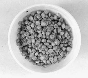 Chana Dal