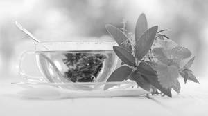 Green tea with honey (100 ml)
