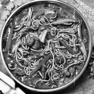 Schezwan Veg Mix Chowmien