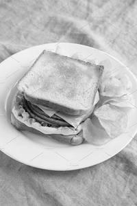 Plain Sandwich With French Fries