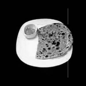 Aloo Paratha (Tawa)