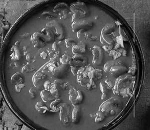 Mushroom masala