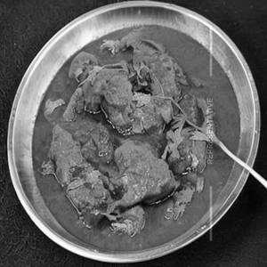 Murgh Lajawab (Shredded Boneless)
