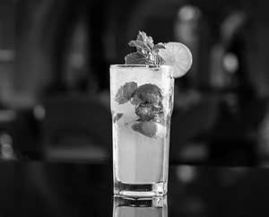 Fresh Lime Juice