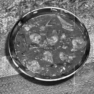 Prawn dopiaza