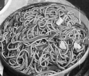 Chicken Schezwan Noodles