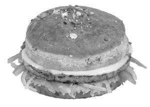 Grilled Chicken Patty Burger