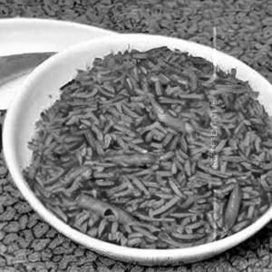 Plain rice
