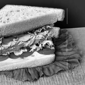 Chicken Sandwich 