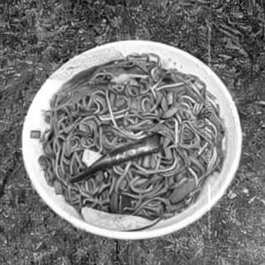 Veg Hong Kong Noodles