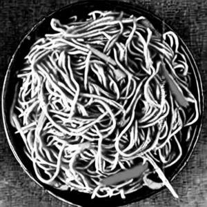 Mixed Hakka Noodles