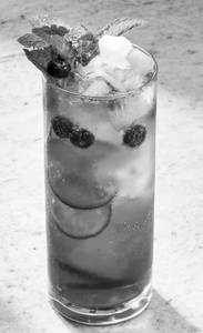 Blueberry Mojito