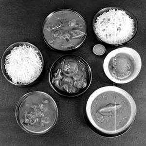 Veg Peshawari