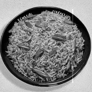 Veg Hong Kong Rice