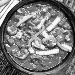 Baby Corn Chilli Schezwan