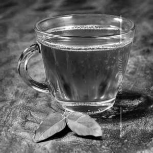 Pudina Tea