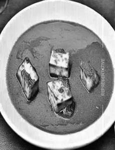 Paneer Patiyala