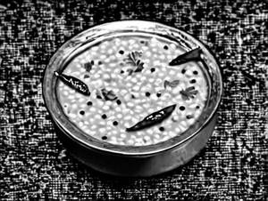 Dal Khichadi
