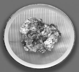 Mutton Brain Roast