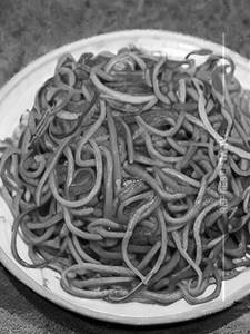 Vegetable Noodles