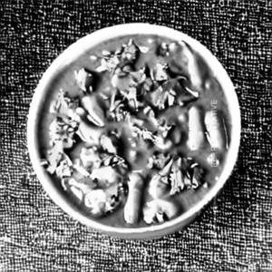 Veg Kurma