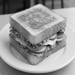 Veg Grilled Sandwich[o]