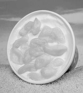 Sitaphal Naturals Shake