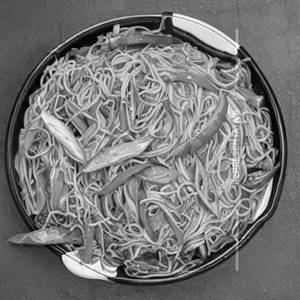 Veg Shanghai Noodles