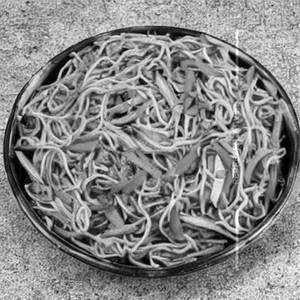 Veg Hakka Noodles