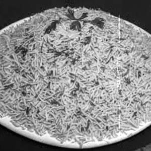 Firdusi Qurma Half Plate