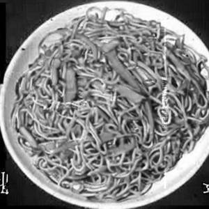 Veg Triple Schatwati Noodles