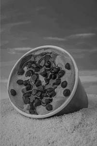 Chocochips Thick Shake