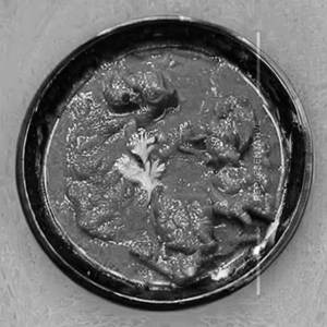 Mutton Lajawab