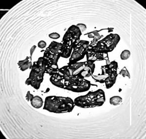 Pan Fried Black Bean Cottage Cheese