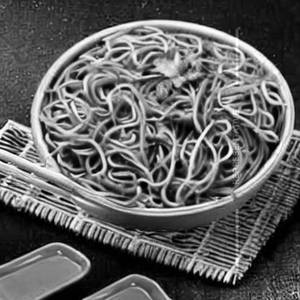 Non Veg Manchurian Noodles