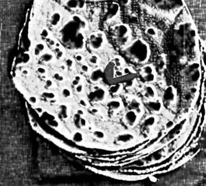 Tandoori Paratha
