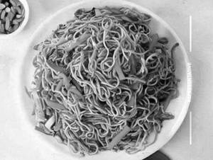 Veg Noodles