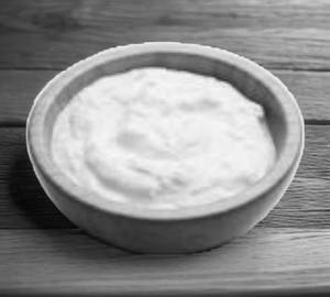 Plain Dahi