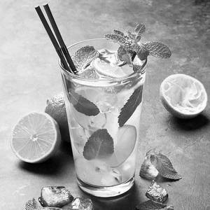 Lemon And Mint Mojito