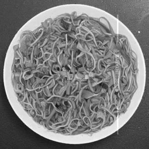 Veg Hong Kong Noodles