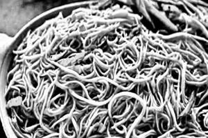 Chilly Garlic Noodles