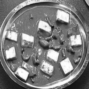 Spl butter paneer *