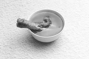 Leg Soup (single)