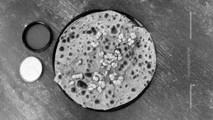 Corn Paratha