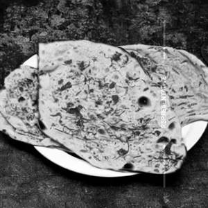 Pudina Naan