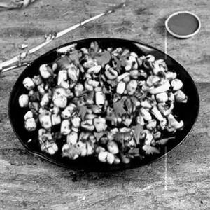 Mushroom Babu Corn Tawa
