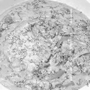 Veg Hyderabadi